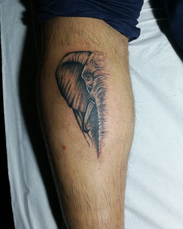 Wonderfish Spa & Platanias Tattoo